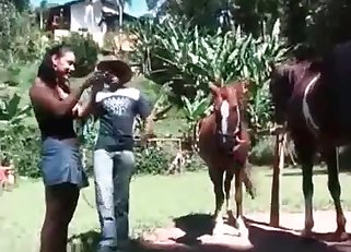 Kinky chick sucking a horse's massive cock