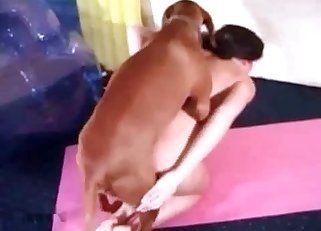 Brown dog destroying that pussy