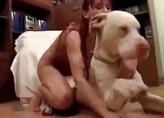 White dog gets pleasured by a hot girl