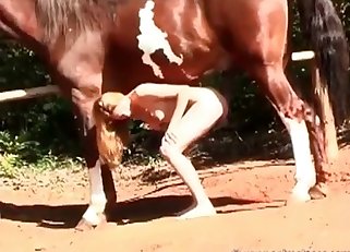 Delicious dick of a muscled horse