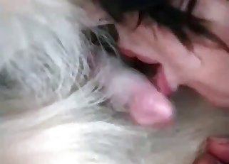 Horny shaggy doggo loves cock sucking