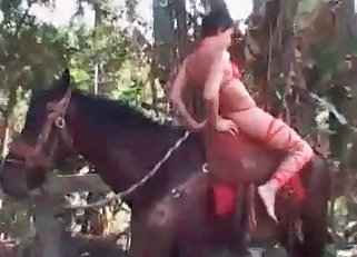 Hot bestiality action with a stallion