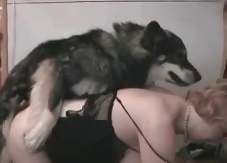 Husky and owner have dirty bestial sex